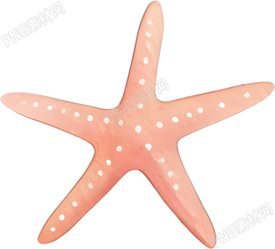 水彩海星插图