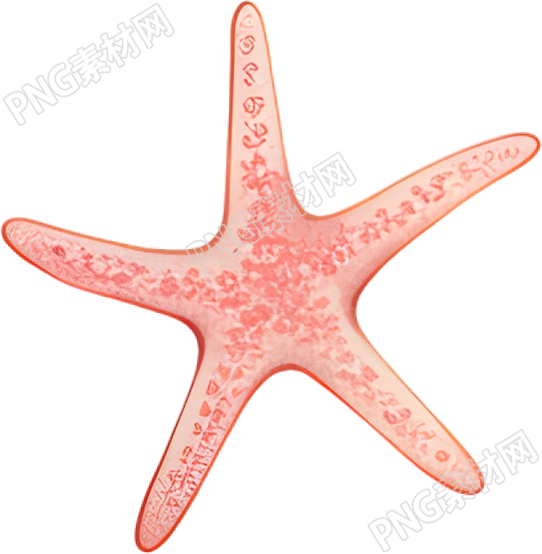 水彩海星元素