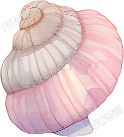 水彩海螺插图素材