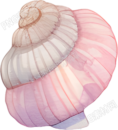 水彩海螺插图素材