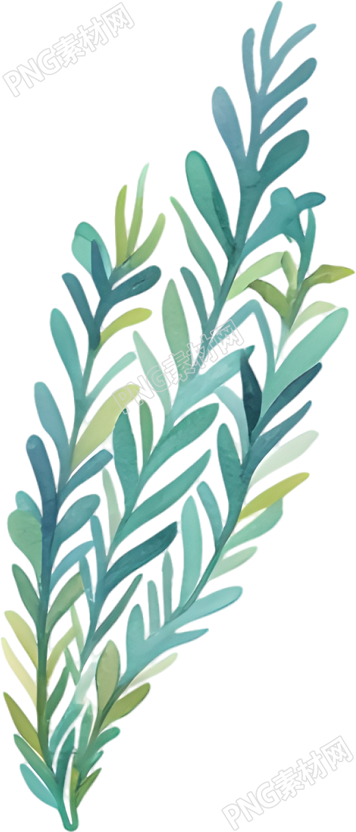 水彩水草插画