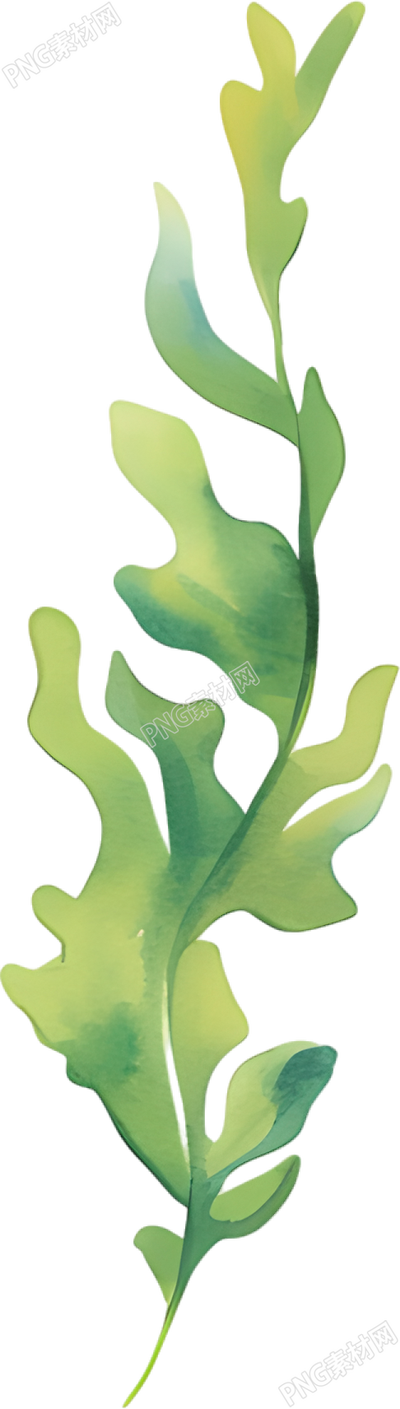水彩水草插图