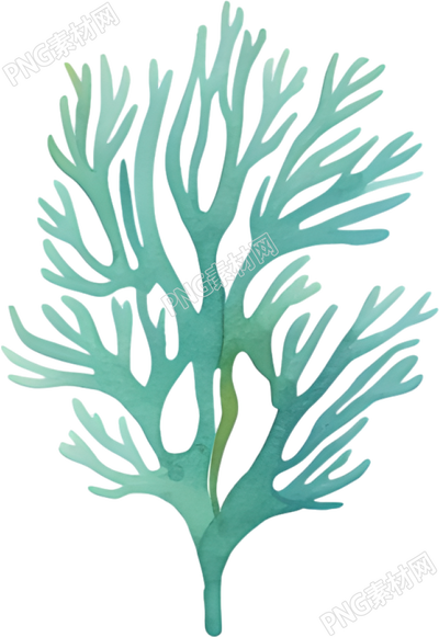 水彩珊瑚插画