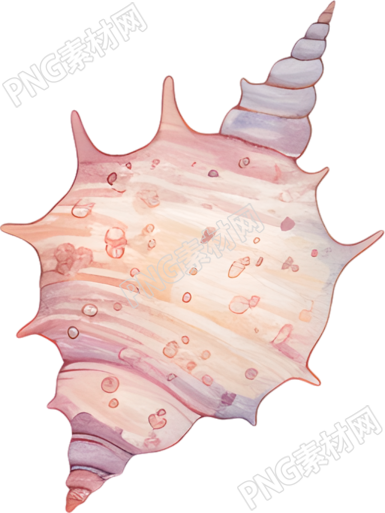 水彩海螺插图