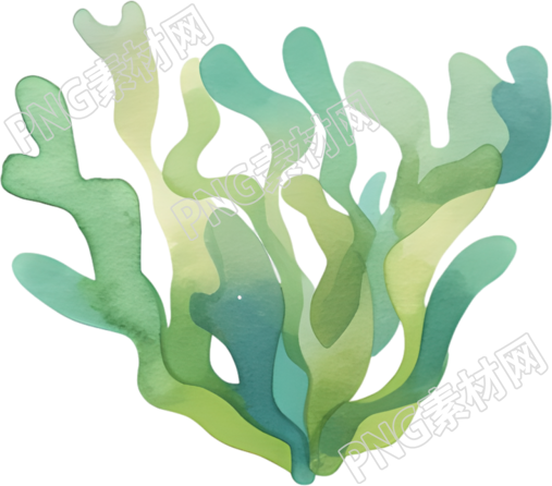 水彩水草创意插图