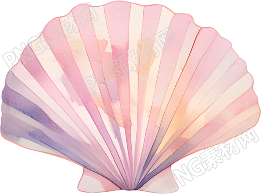 水彩扇贝元素