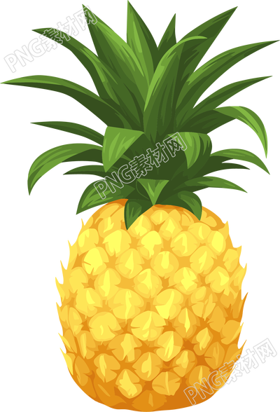 凤梨创意插图