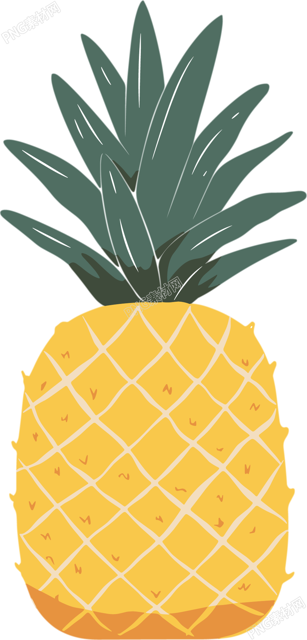 凤梨商业设计插画