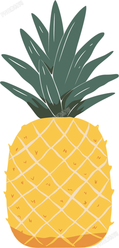 凤梨商业设计插画