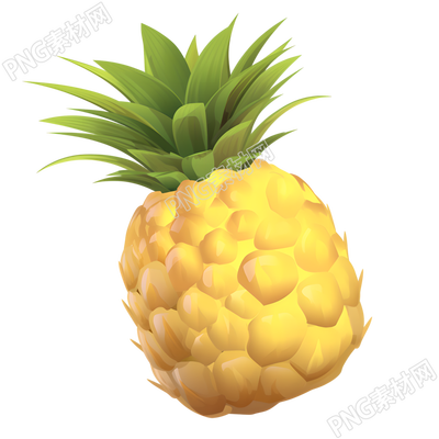 凤梨插画素材