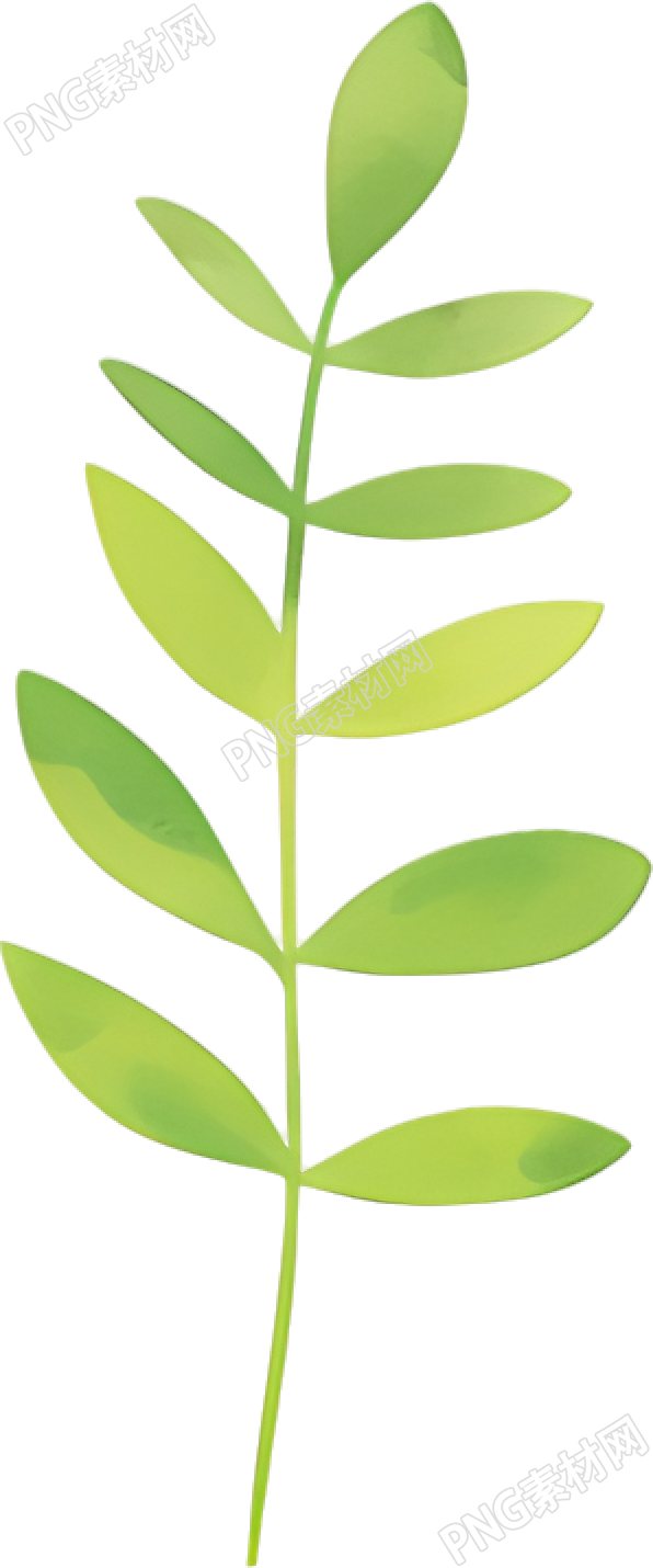 水彩植物简约风格素材