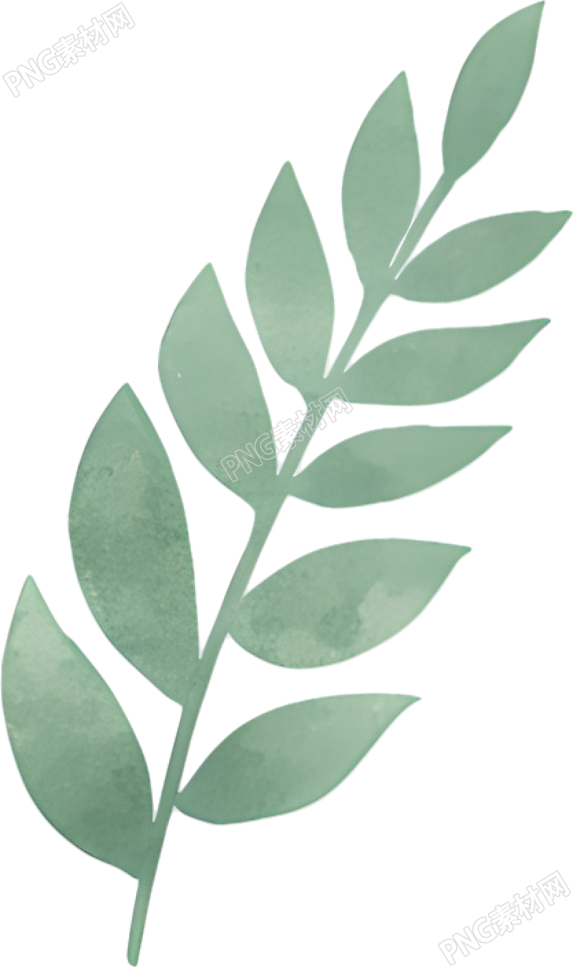 水彩植物装饰插画元素