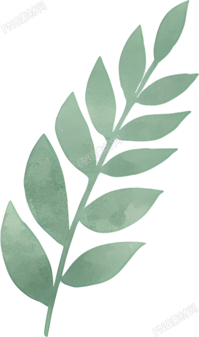 水彩植物装饰插画元素