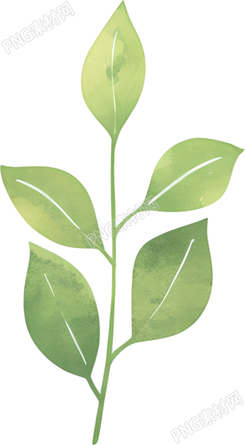 水彩植物叶片元素