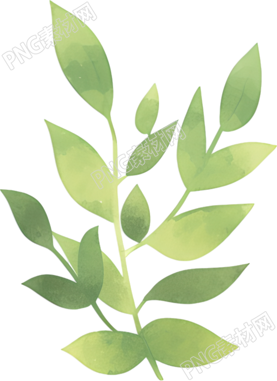 水彩植物商用装饰素材