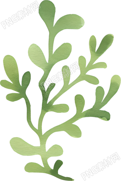 水彩植物叶子元素