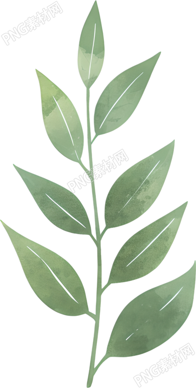 水彩植物树叶插画