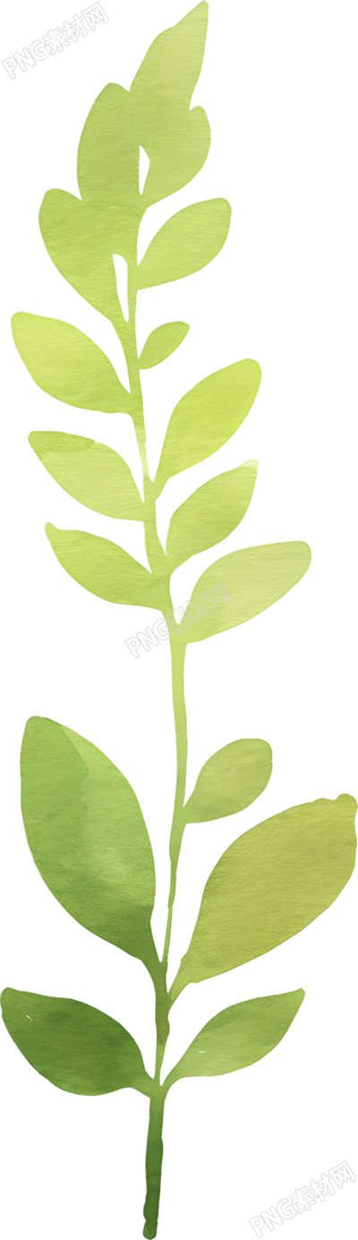 水彩植物树叶元素
