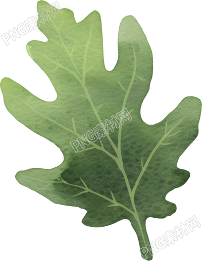 水彩植物设计素材