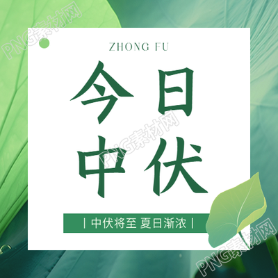 今日中伏卡通荷叶微信公众号次图