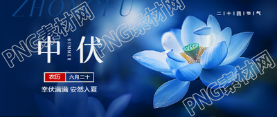 中伏傍晚荷花实景微信公众号首图
