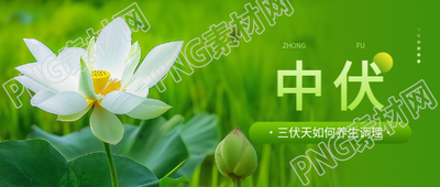 中伏养生主题活动微信公众号首图