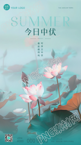 今日中伏池塘荷花实景手机海报