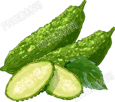 苦瓜蔬菜插图