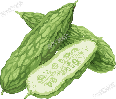 苦瓜可商用插画