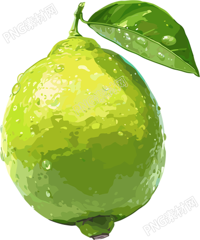 香水柠檬PNG插图