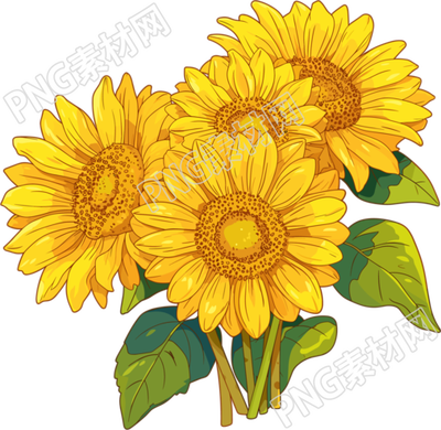向日葵花束插图