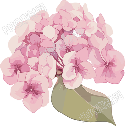 水彩绣球花插图