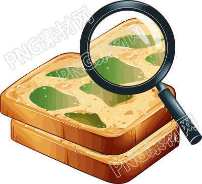 发霉面包插图