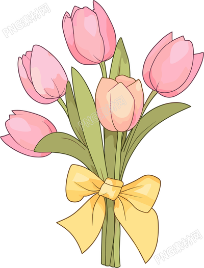 粉色郁金香花束插画
