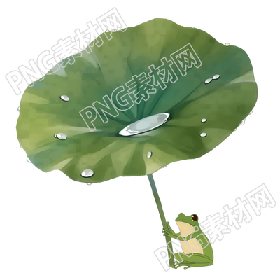 小青蛙荷叶露水插图