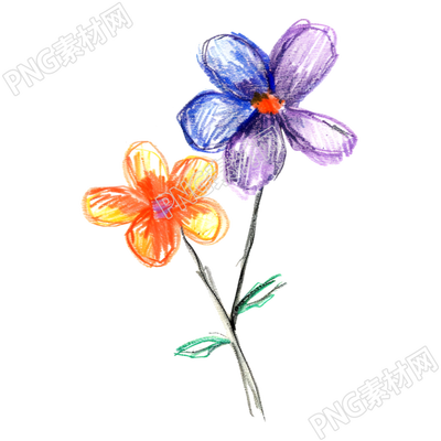 蜡笔画小花插画