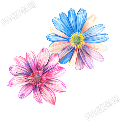 蜡笔画小花插图