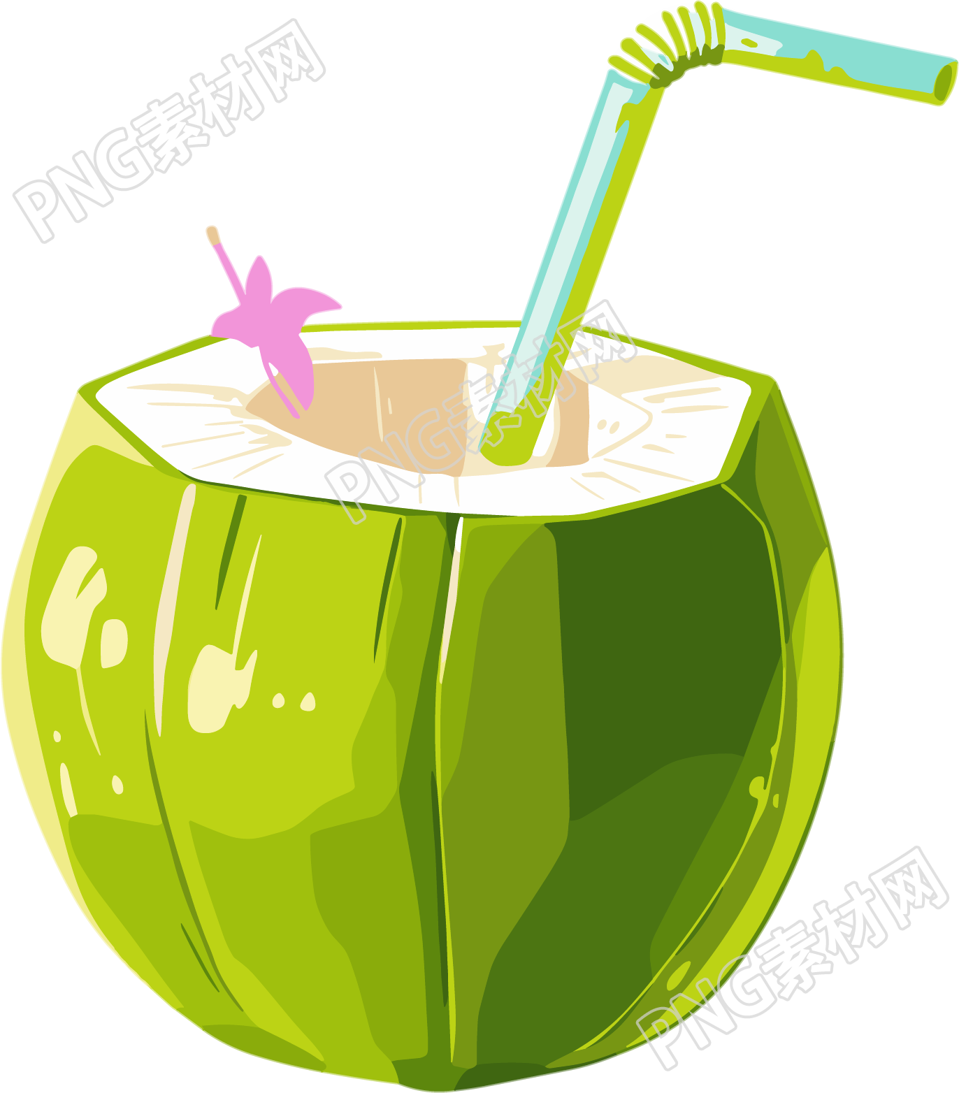 椰汁插图素材