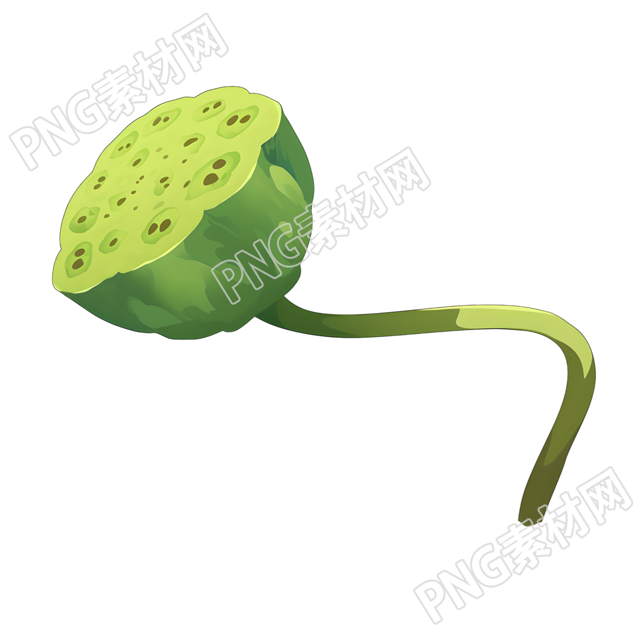 莲蓬极简插画