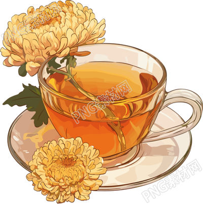 菊花茶商业插画