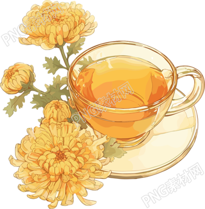 菊花茶高清插图