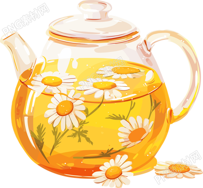 菊花茶可商用插画