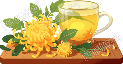 菊花茶插画素材