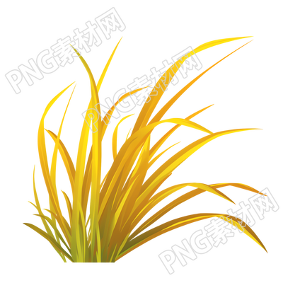 立秋芦苇插图