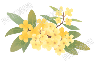 立秋桂花素材