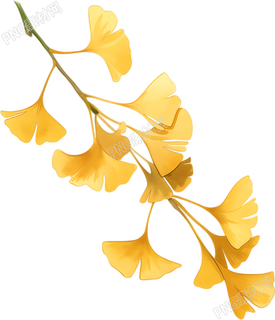 立秋银杏叶矢量插画