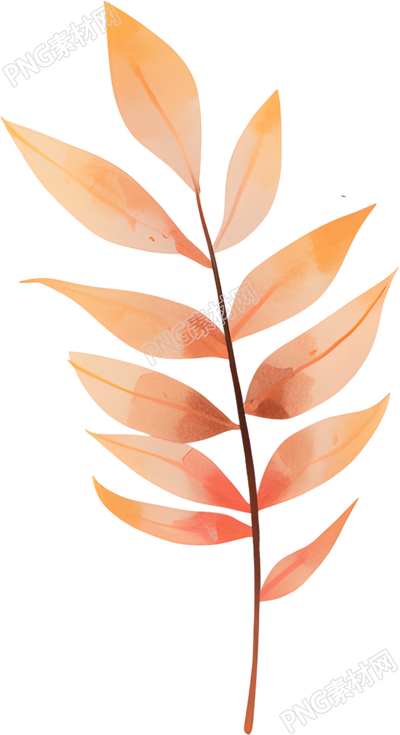 立秋树叶透明背景插画