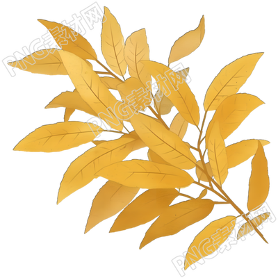 立秋树叶素材