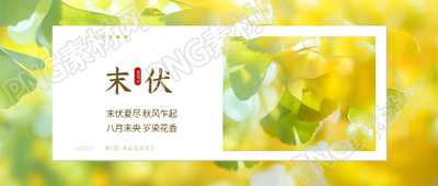 末伏时节创意微信公众号首图