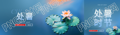 二十四节气处暑公众号封面图